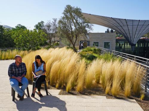 Two persons sitting on a green roof with ornamental grasses and small trees